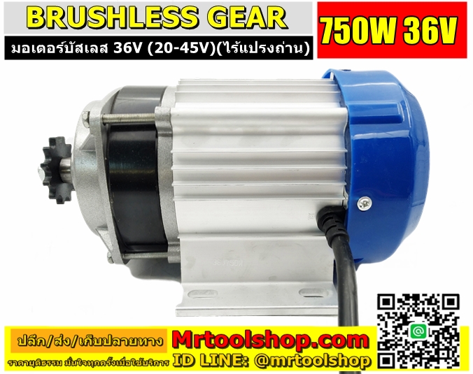 Brushless Motor DC 750W 36V